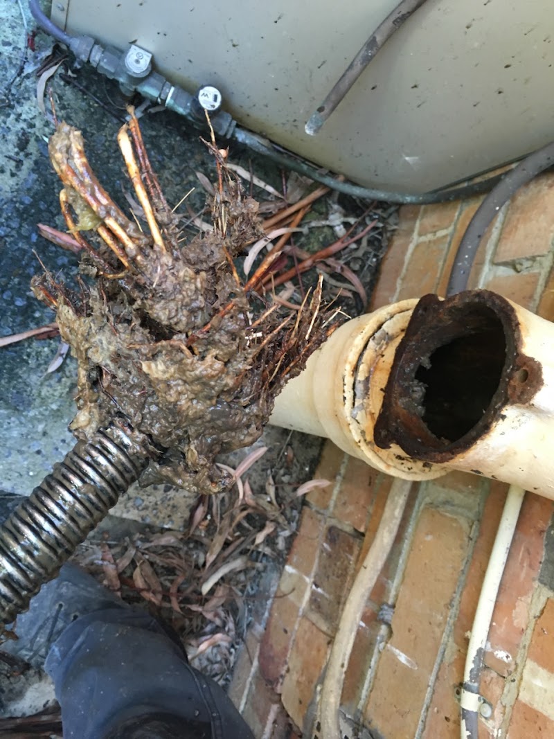 Sewer Repairs & Re-routing, Blocked Drain Plumbers