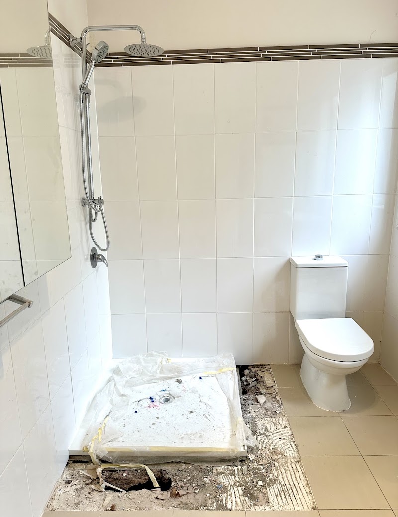 No Bathroom Renovation Needed, Master Shower Repair