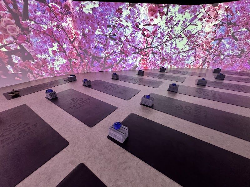 Perfect 5.0 with 153 Reviews, Spirit Stretch Immersive Yoga